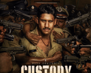 Download Custody 2023 Hindi (Studio-Dub) 1080p 720p 480p HQ DVDScr x264