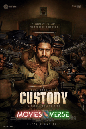 TheMoviesVerse - MoviesFlixPro | MoviesVerse Movie Website Download Custody