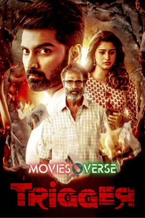 TheMoviesVerse - MoviesFlixPro | MoviesVerse Movie Website Download Trigger