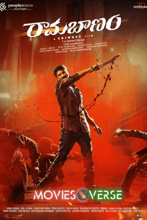 TheMoviesVerse - MoviesFlixPro | MoviesVerse Movie Website RamaBanam 2023 Hindi 1080p 720p 480p HDCAM x264