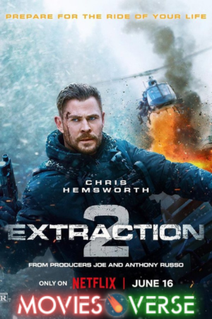 TheMoviesVerse - MoviesFlixPro | MoviesVerse Movie Website download Extraction 2