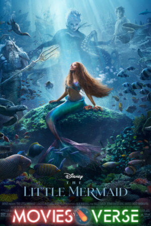 TheMoviesVerse - MoviesFlixPro | MoviesVerse Movie Website download The Little Mermaid